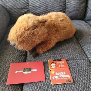 FAO Schwarz Plush Capybara With Adoption Tag NWOT 12" Plush